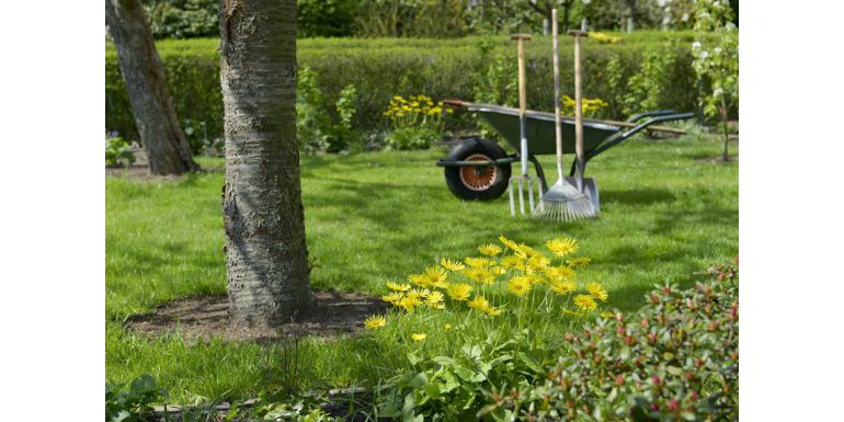 Jak przygotować ogród na przyjście wiosny?